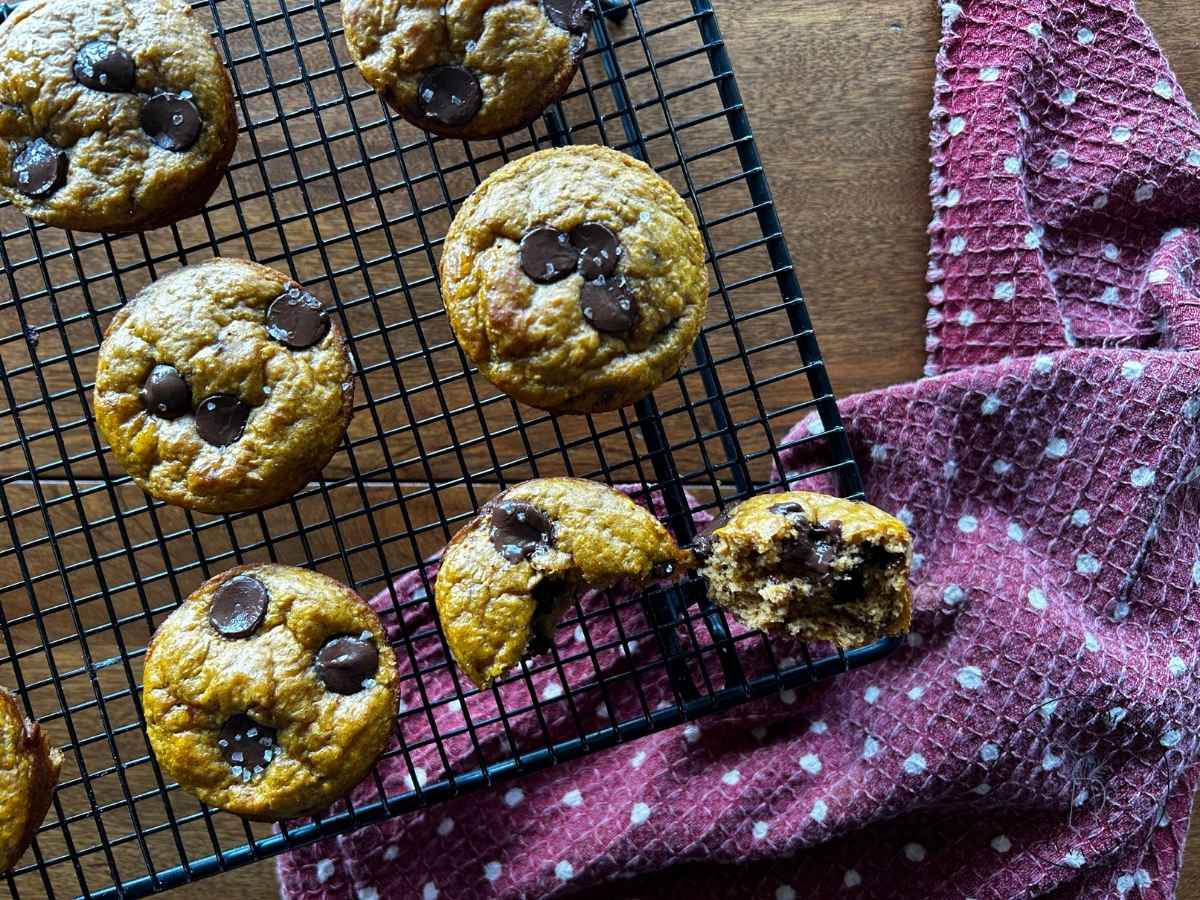 How to Make Protein Pumpkin Muffins in a Blender