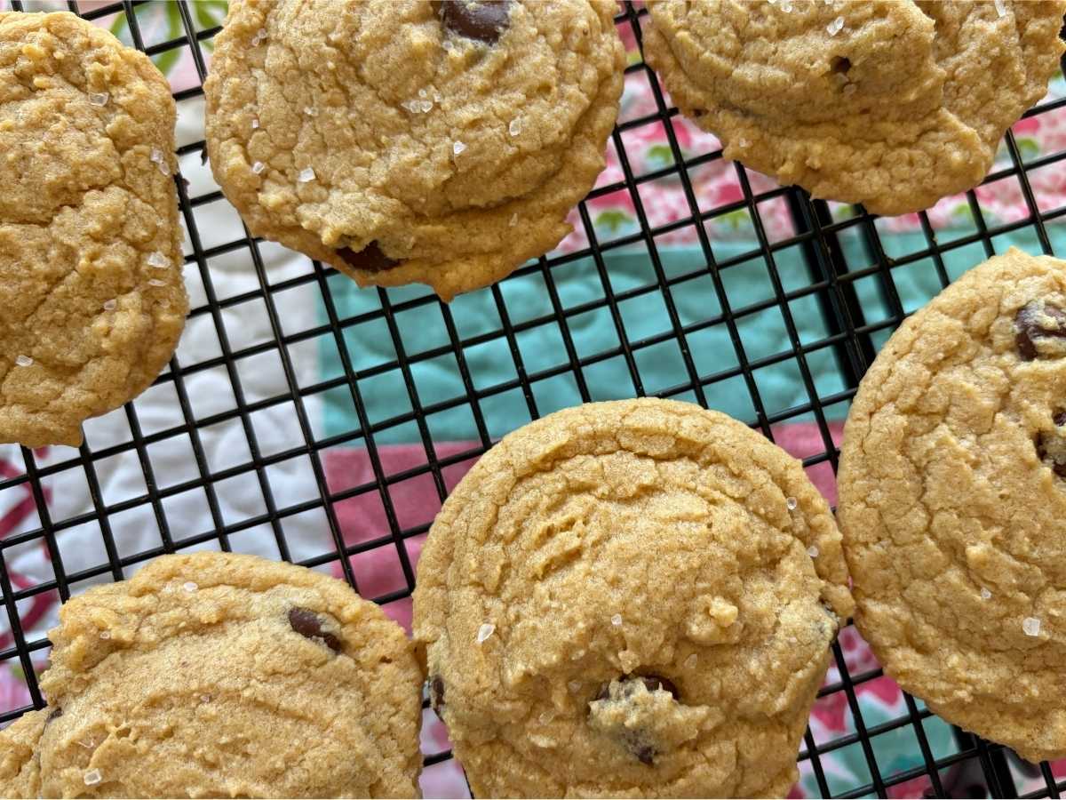 How to Make Fresh Milled Chocolate Chip Pudding Cookies