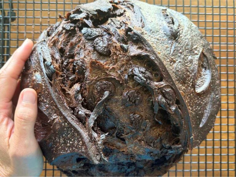 Dark Chocolate Sourdough Bread Recipe (Easy Artisan Chocolate Sourdough Loaf)