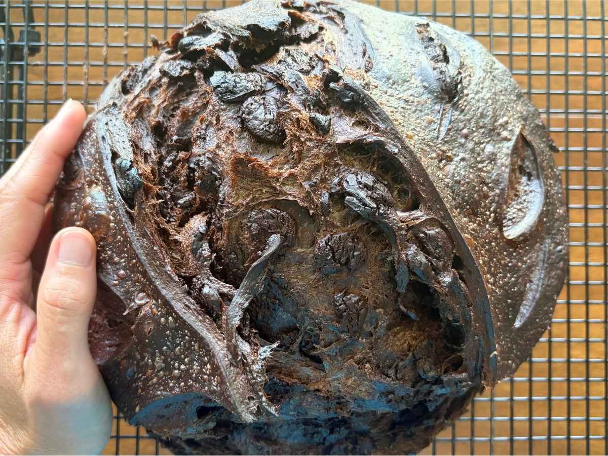 Dark Chocolate Sourdough Bread Recipe (Easy Artisan Chocolate Sourdough Loaf)